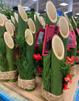 Kadomatsu | Pick up December 28, 2024 | Saturday Farmerʻs Market | KCC